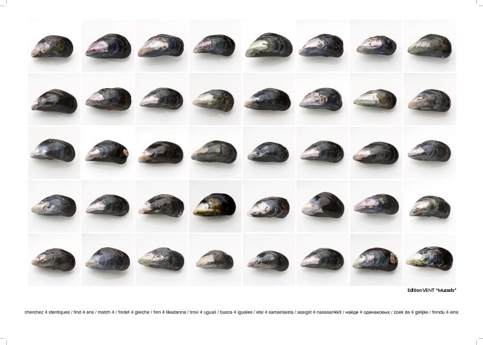 Mussels