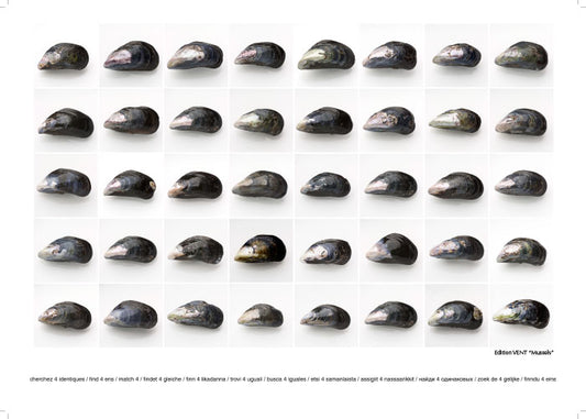 Mussels
